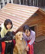 2匹のレトリーバー用の校倉タイプ犬小屋